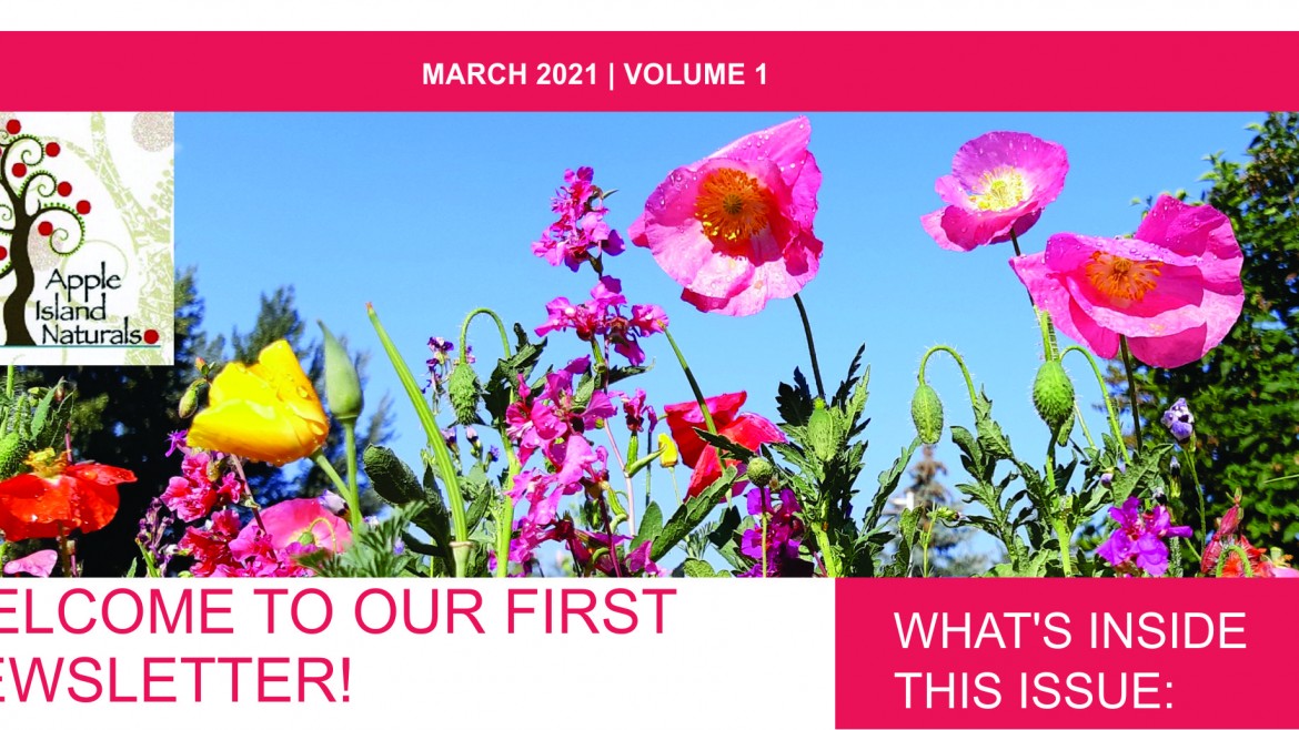 Apple Island Newsletter, Volume 1, March 2021